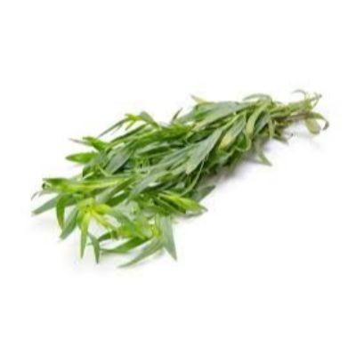 Tarragon (sold by kg)