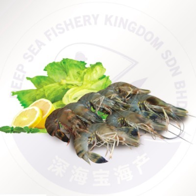 Black Tiger Prawn HOSO 16 20 (10 Units Per Carton)