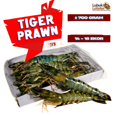 TIGER PRAWN GRED A 700GRAM (14 - 16 pcs per packet)