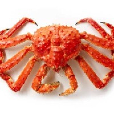 ATLANTIC KING CRAB 1.4KG