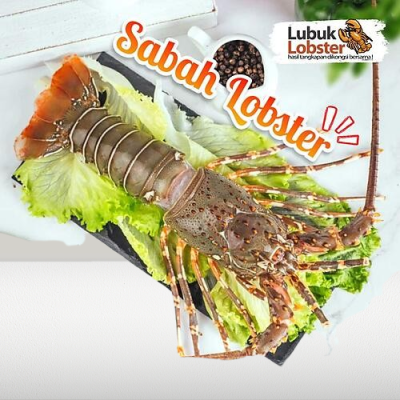 SABAH LOBSTER FROZEN (400g - 500g each)