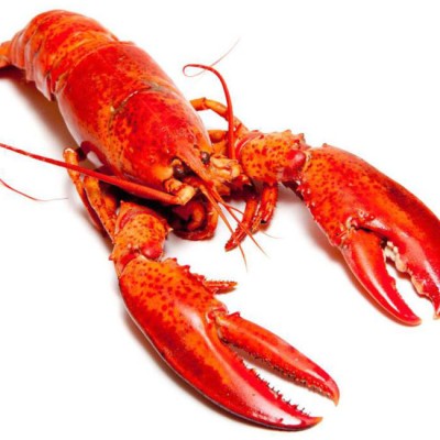 CANADIAN LOBSTER (FROZEN) 1KG
