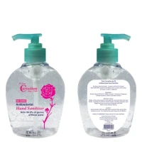 Hand Sanitizer 250ml
