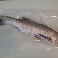 [Pre-order] Ikan Kurau