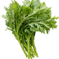 Chrysanthemum Garland Tong Hou (Sold Per KG) [KLANG VALLEY ONLY]