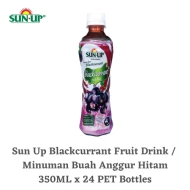 Sun Up - Ready-To-Drink Blackcurrant Fruit Drink (24 bottles x 350ml)