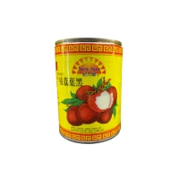 NEW SUN LYCHEES IN SYRUP 567g