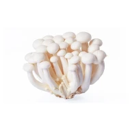 Mushroom Shimeiji White [200g pkt] [KLANG VALLEY ONLY]