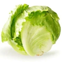 Lettuce Iceberg (Sold Per KG) [KLANG VALLEY ONLY]