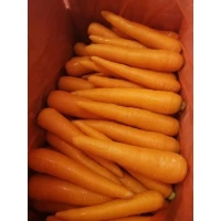 Carrot [4.5kg box] [KLANG VALLEY ONLY]