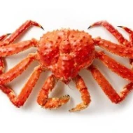 ATLANTIC KING CRAB 1.4KG