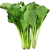 Choy Sum Sawi Cameron (Sold Per KG) [KLANG VALLEY ONLY]