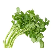 Watercress (sold by kg)