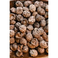 Premium Dried Mushroom 120g [KLANG VALLEY ONLY]