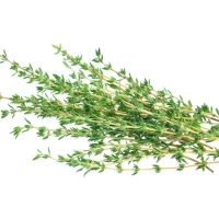 Thyme Fresh [KLANG VALLEY ONLY]