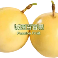 Passion Fruit - (L Size) Panama Golden Rose Passion Fruit 1kg